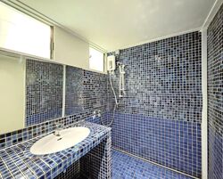 Dunearn Road (D11), Condominium #599359631